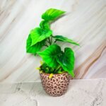 Ceramic-pots-KC1139 (2)