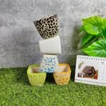 Ashwani Shape Khurja Ceramic Indoor Tabletop Pots - KC3140