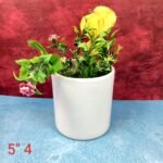round-white-khurja-pottery-ceramic-glass-pots-SK1137