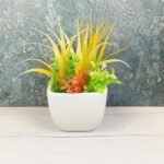 DPAARA Square Shape Succulent Ceramic Planters Pot-drh1011