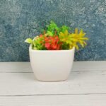 Khurja Pottery White Square TableTop Ceramic Pots-DRH1093