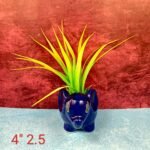 Khurja Pottery Multicolor Ceramic Elephant Pots - Image 2