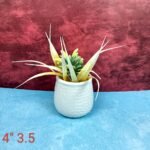 Dotted Multicolor Ceramic Planters Pot - Image 2