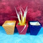 Multicolor Khurja Ceramic Succulent Planters Pot-SK1054