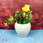 Apple Shape White TableTop Ceramic Pot-SK1142