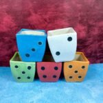 Ludo Design Khurja Ceramic Succulent Pots-SK1228