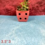 Ludo Design Khurja Ceramic Succulent Pots - Image 2