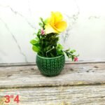 Dotted Bown Succulent Ceramic Planters - Image 2