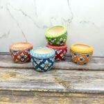 Multicolor Khurja Ceramic Succulent Planters-AA7018