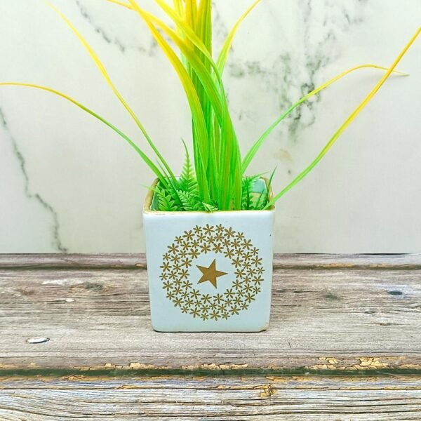 Star Print Square Ceramic Planters Pot-AA7029