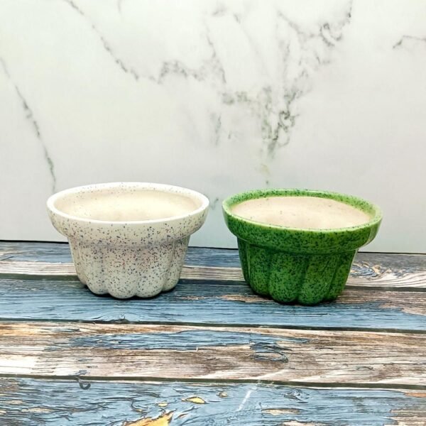 Khurja Ceramic Succulent Ceramic Planters-AA7056