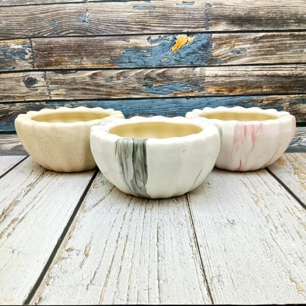 Cutting Design Khurja Ceramic Bonsai Pots-AA7066