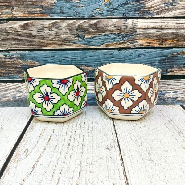 Multicolor Indoor Hexa Ceramic Planters Pot-AA7068