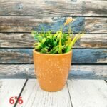 Glossy Glaze Indoor Ceramic Planters Pot-AA7110