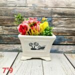 Leaf Print White Ceramic Bonsai Pots-AA7118