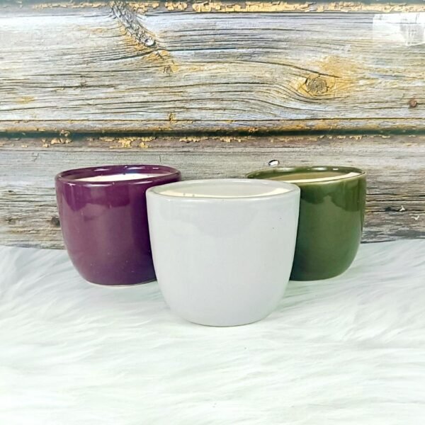 Multicolor Khurja Ceramic Indoor Planters-ST8503