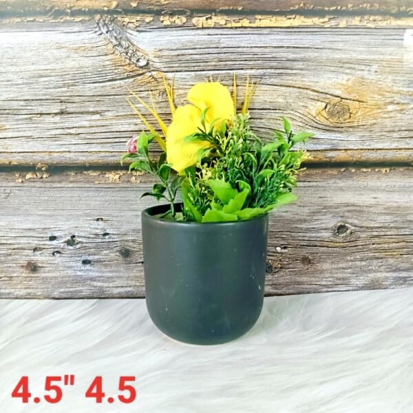 Multicolor Indoor Ceramic Planters Pot-ST8512