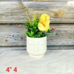 Face Design Succulent Ceramic Planters-ST8522