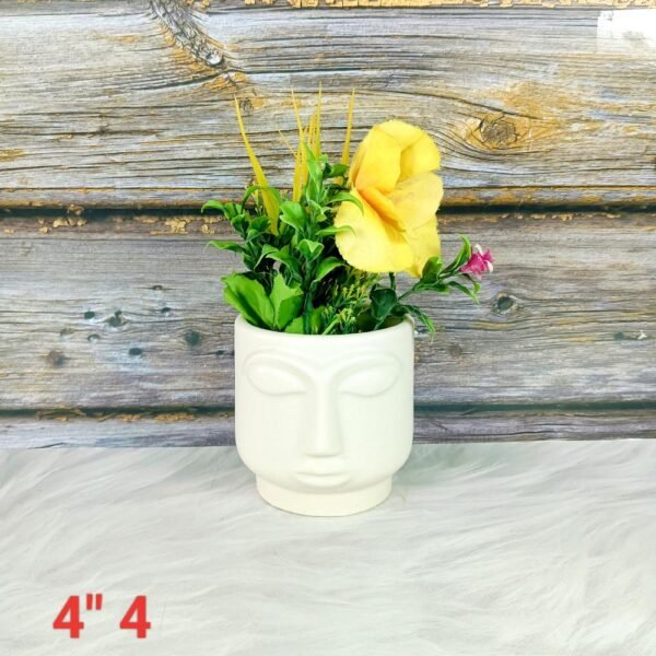 Face Design Succulent Ceramic Planters-ST8522