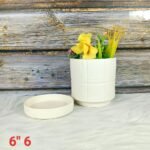 Elegant White Indoor Ceramic Pot With Plate-ST8523