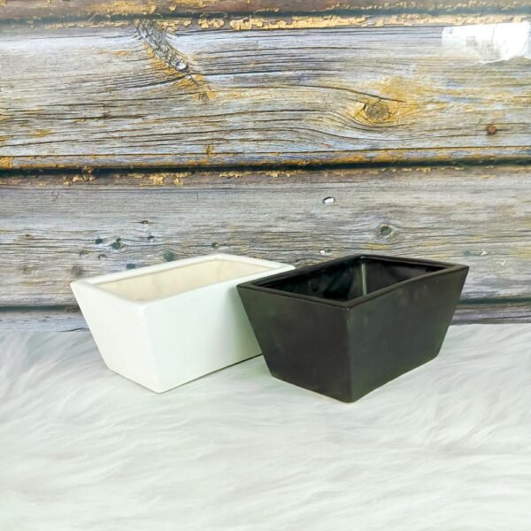 Khurja Ceramic Indoor Ceramic Bonsai Pots-ST8553
